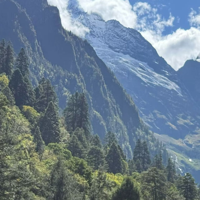 Yubeng Village Sacred Forest: A Mystical Walk Among Giants 🌲🙏