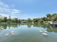  上海世博文化公園「申園」：都市中的江南園林瑰寶