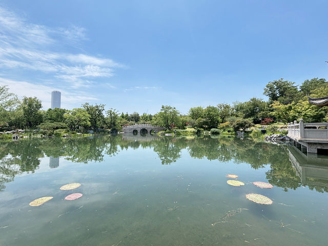  上海世博文化公園「申園」：都市中的江南園林瑰寶