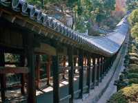 ✨ OKAYAMA – THE SILENT GEM OF JAPAN ✨⛩️