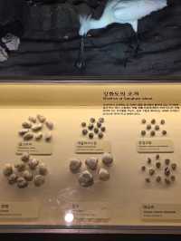 민물과 갯벌의 생명력을 느끼는 생물전시