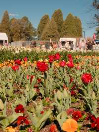 Canberra Floriade 花卉節 2025｜免費入場打卡夢幻花海