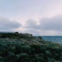 The Blow Holes