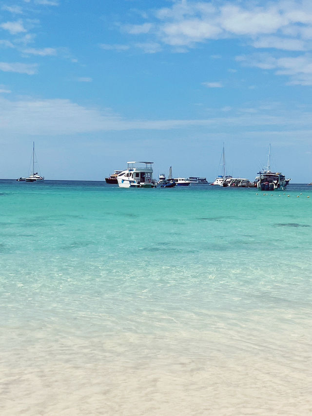 🏖️ Patong Beach, Phuket: Where Turquoise Dreams Meet Powdered Sugar Sands! 🌊 🏖️ Patong Beach, Phuket: Where Turquoise Dreams Meet Powdered Sugar Sands! 🌊