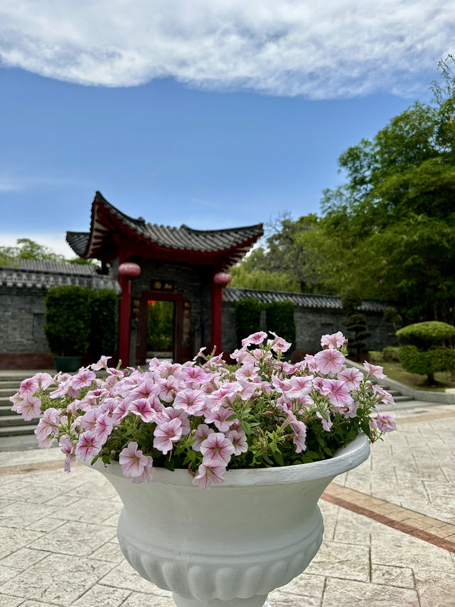 Sunny Willow Views🌳 China-Malaysia Friendship Garden Sunny Willow Views🌳 China-Malaysia Friendship Garden