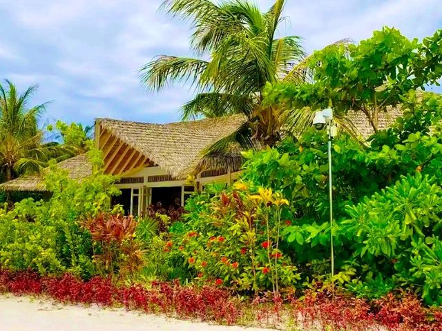 Le Méridien Maldives Resort & Spa — Where Creativity Meets Conservation Le Méridien Maldives Resort & Spa — Where Creativity Meets Conservation