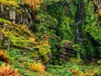 🌿 Wilhelmshöhe Park – Germany’s Grand Garden of Cascades and Castles