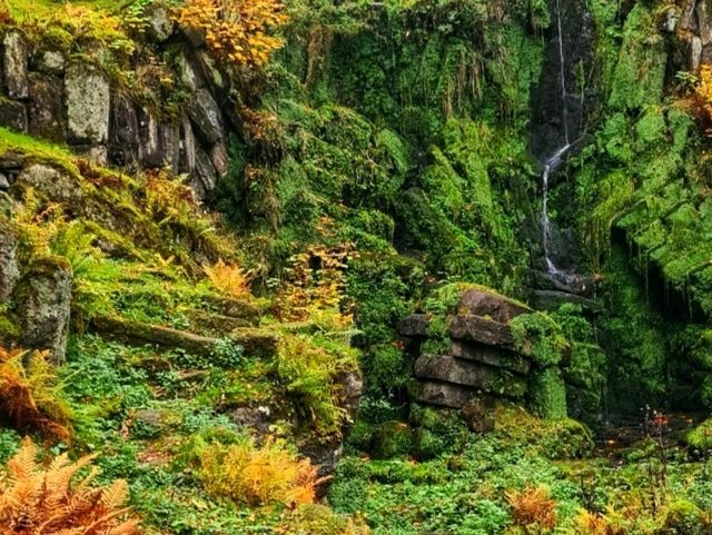 🌿 Wilhelmshöhe Park – Germany’s Grand Garden of Cascades and Castles