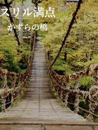 踏み板の隙間が多く、スリル満点のかずらで造られた吊り橋