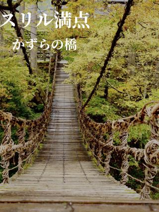 A thrilling suspension bridge made of vines with many gaps between the steps