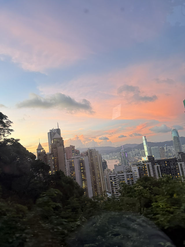 Fell in love with HK