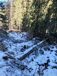 Winter at Feilong Pond: Dried Basin, Silent Land