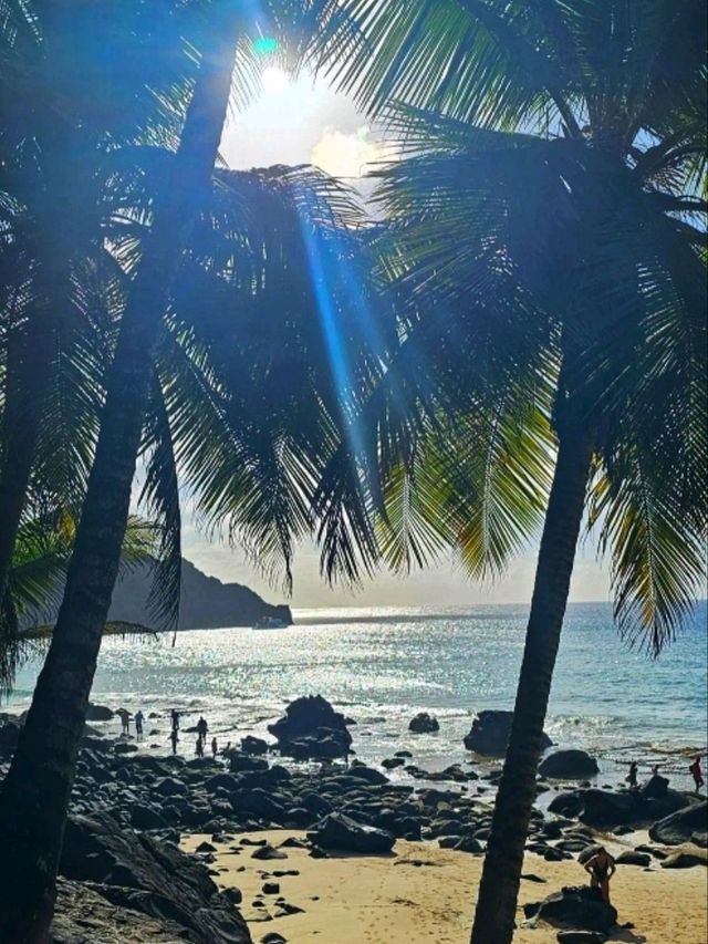 🏝️ “Fernando de Noronha Island – Brazil’s Hidden Ocean Paradise”