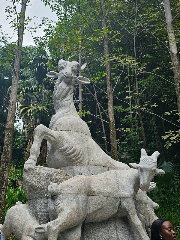 Seychelles National Botanical Gardens
