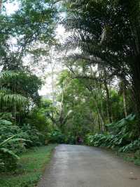 【ラオス🇱🇦】クアンシーの滝