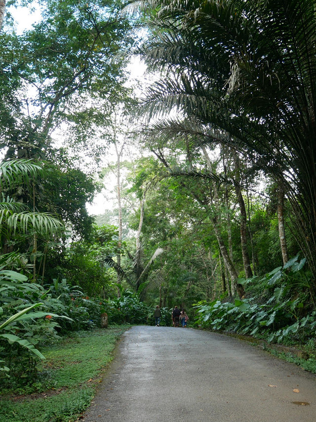 【ラオス🇱🇦】クアンシーの滝
