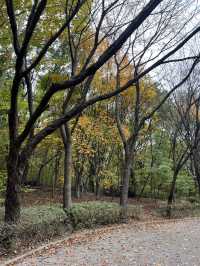 🍁걷고 또 걷고, 둘레길 걷기