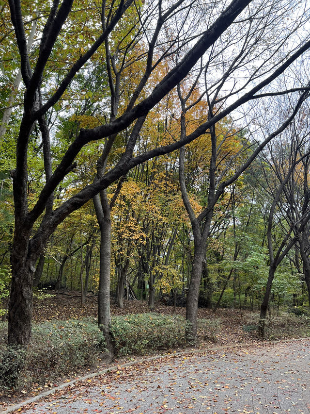 🍁걷고 또 걷고, 둘레길 걷기