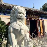 🌿  Laoshan Taiqing Palace – A Seaside Taoist Wonderland