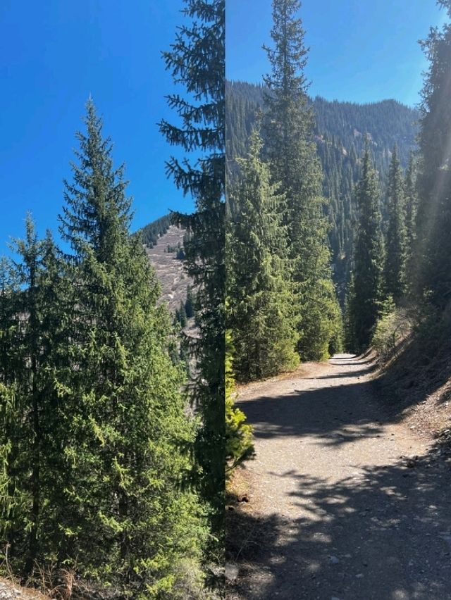 산속에 숨어 있던 비밀 정원을 만난 듯한 순간 산속에 숨어 있던 비밀 정원을 만난 듯한 순간