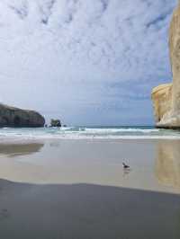 Duendin 의 Tunnel Beach🌊