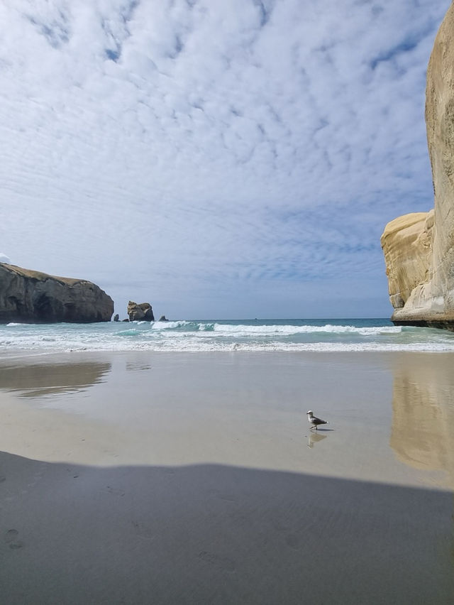 Duendin 의 Tunnel Beach🌊