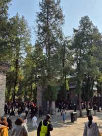 ป่าเจดีย์วัดเส้าหลิน — เงียบ งดงาม ลึกลับ