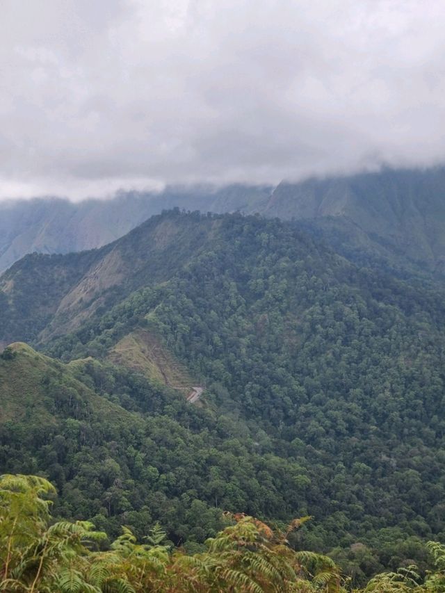 Vibrant Day Out🌸 Vibrant Day Out🌸