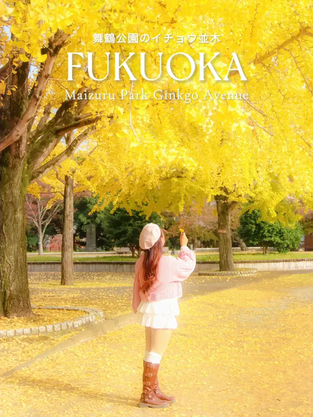 Fukuoka Autumn 2025✨🇯🇵