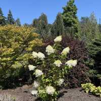 Queen Elizabeth Park