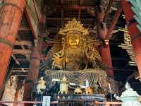 奈良東大寺～穿越千年遇見世界最大木造建築！與鹿共游的佛像奇觀🦌🏯