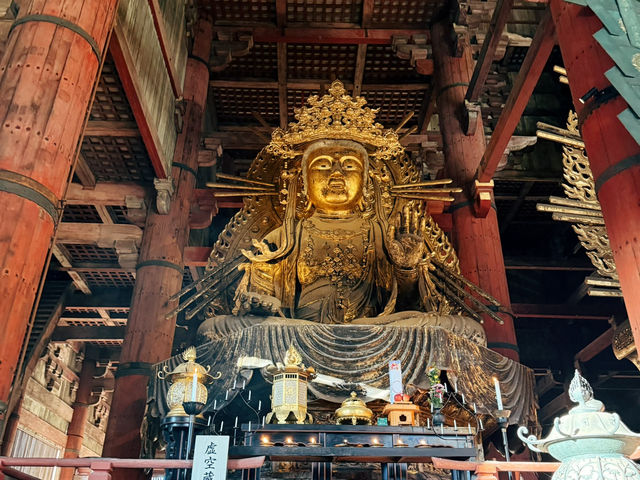 奈良東大寺～穿越千年遇見世界最大木造建築！與鹿共游的佛像奇觀🦌🏯