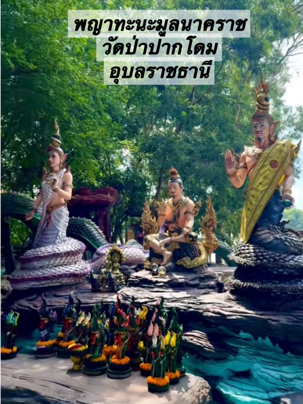 สายพญานาค สายมูห้ามพลาดกับที่นี่เลย วัดป่าปากโดม