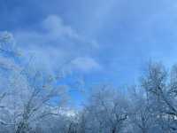 Snow Bliss in a Snow Valley ☃️❄️🥰