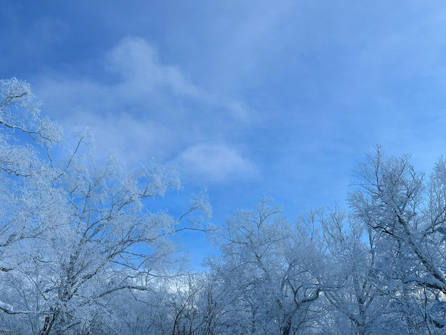 Snow Bliss in a Snow Valley ☃️❄️🥰 Snow Bliss in a Snow Valley ☃️❄️🥰