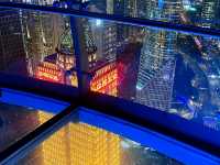 The view from the Oriental Pearl Radio & Television Tower 🏙️🗼🌊