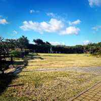 🎄 Festive Getaway: Scenic Views & Relax at Cat Nose Head