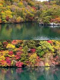 深秋絕景!十和田湖游船仿佛駛入油畫世界🍁