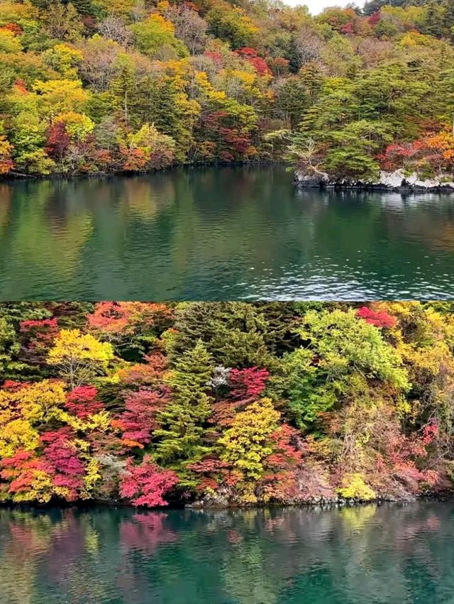 深秋絕景!十和田湖游船仿佛駛入油畫世界🍁 深秋絕景!十和田湖游船仿佛駛入油畫世界🍁