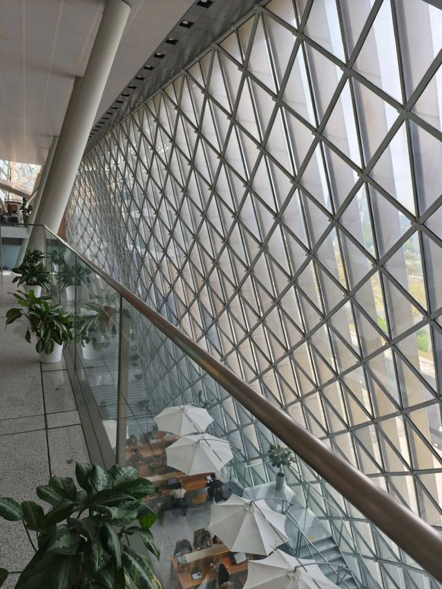 深圳圖書館 深圳圖書館