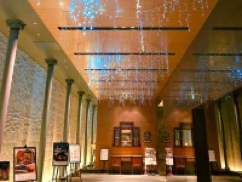 빛이 피어나는 밤