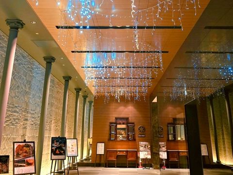 빛이 피어나는 밤