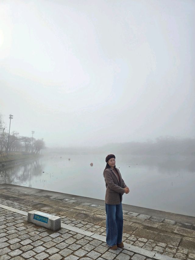 경주 보문호를 거닐면 만날수 있는 미디어아트✨️