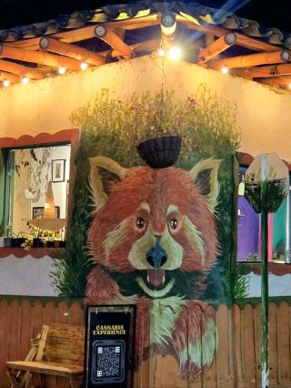 콜롬비아 살렌토｜커피와 동화 같은 마을 가이드