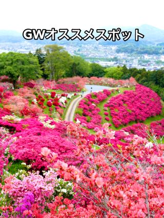 【GWオススメスポット Part 3】  山全体がツツジで彩られる絶景スポット