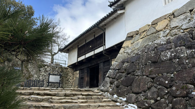 日本國寶 彥根城