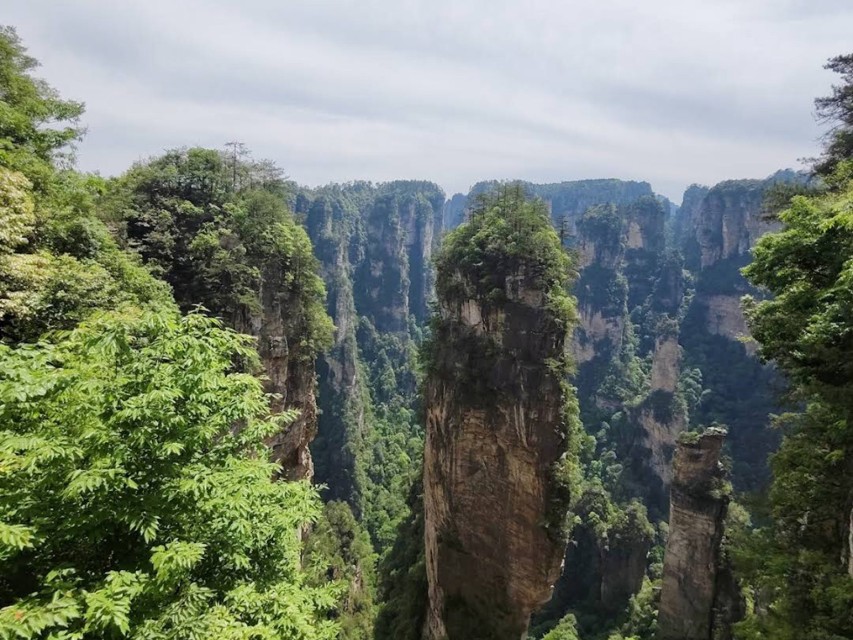 Кварцитовые столбы Улинъюаня в тумане, парк Чжанцзяцзе