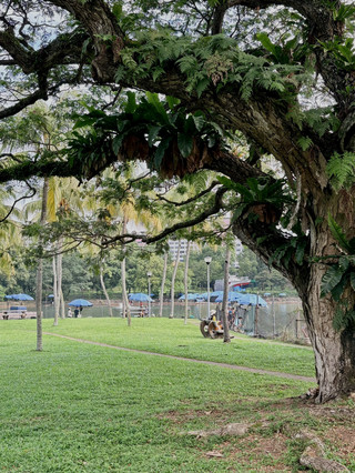A Hidden Gem for Nature and Fishing Lovers
