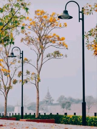 만달레이에서의 3일 | 언제나 고향처럼 편안한 도시