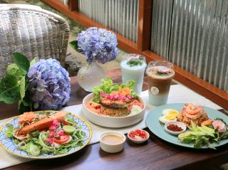 Hydrangea Season @Padee